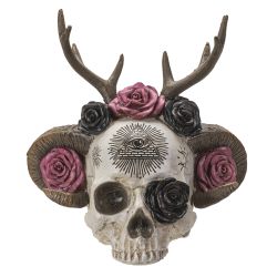 Wiccan Skull (Click Pic)