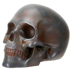 Rusted Skull (Click Pic)