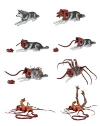 Neca The Thing – 7″ Scale Action Figure – Deluxe Ultimate Dog Creature (Click Pic)