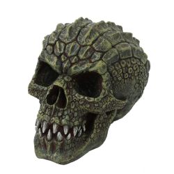 GATORHEAD SKULL (Click Pic)