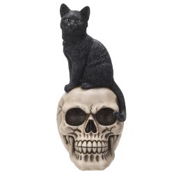 Black Cat On Skull (Click Pic)