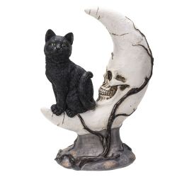 Black Cat On Moon Skull (Click Pic)