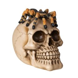 SPIDER ON SKULL (Click Pic)
