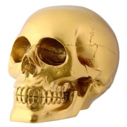 Gold Skull (Click Pic)